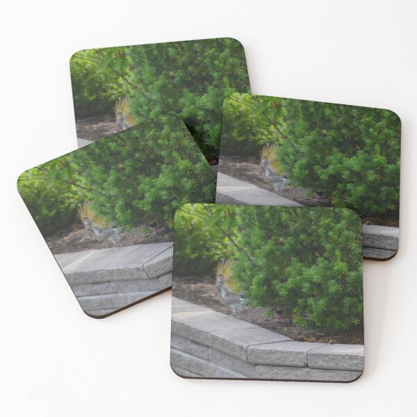 Item preview, Northern Flicker designed and sold by kry.ative.