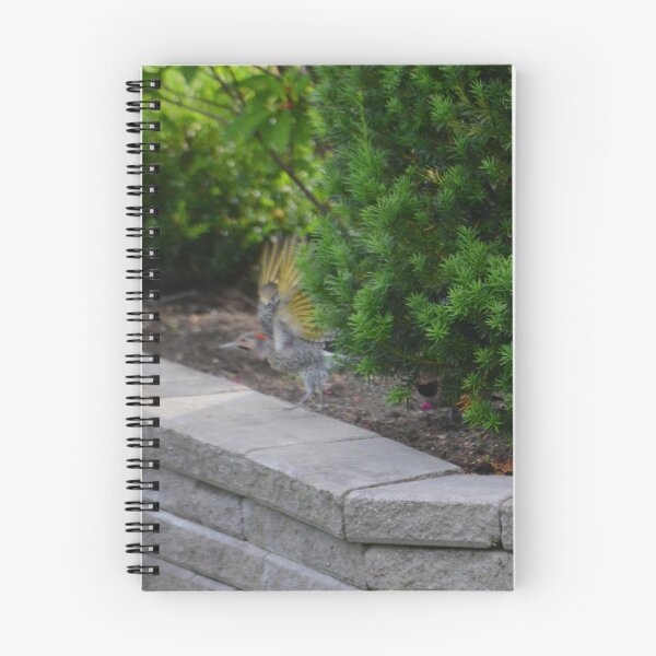Item preview, Northern Flicker designed and sold by kry.ative.