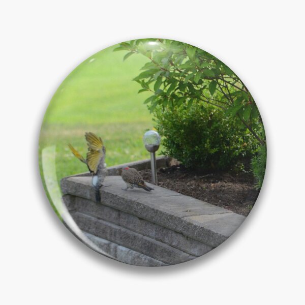 Item preview, Northern Flickers designed and sold by kry.ative.