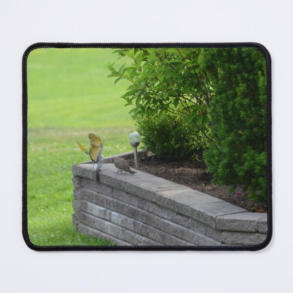 Item preview, Northern Flickers designed and sold by kry.ative.