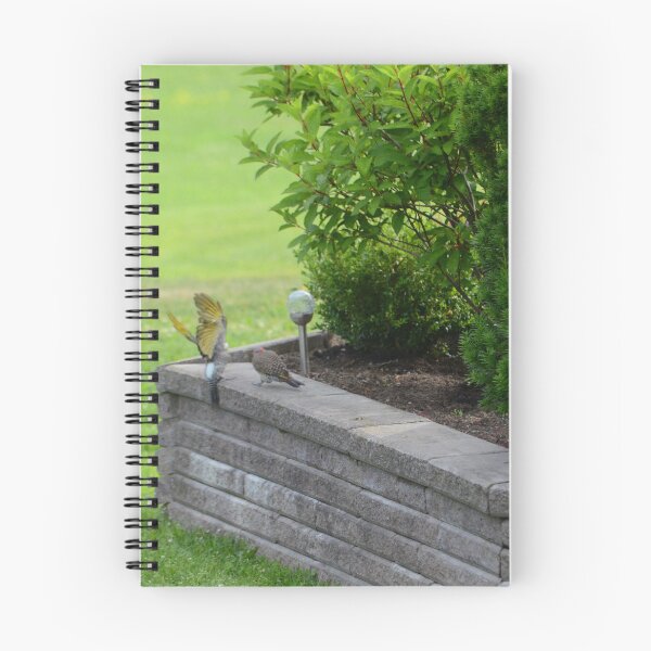 Item preview, Northern Flickers designed and sold by kry.ative.