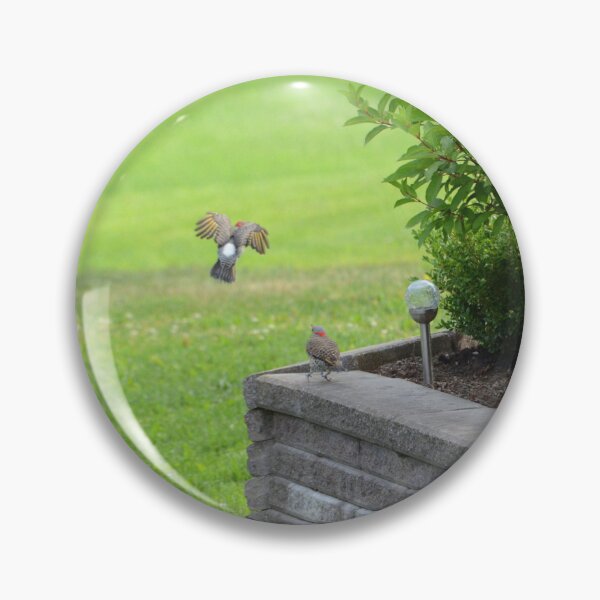 Item preview, Northern Flickers designed and sold by kry.ative.