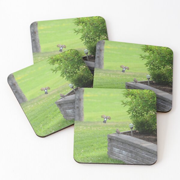 Item preview, Northern Flickers designed and sold by kry.ative.
