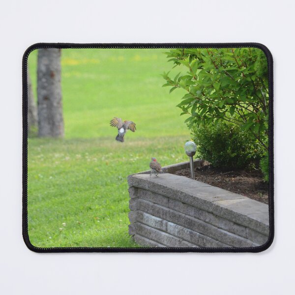 Item preview, Northern Flickers designed and sold by kry.ative.