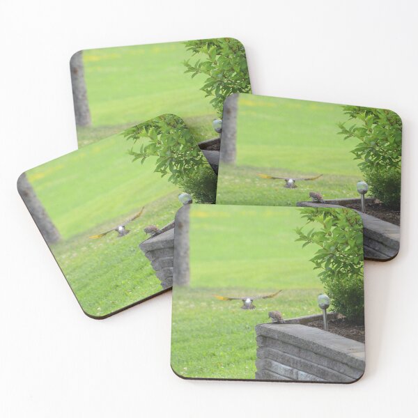 Item preview, Northern Flickers designed and sold by kry.ative.