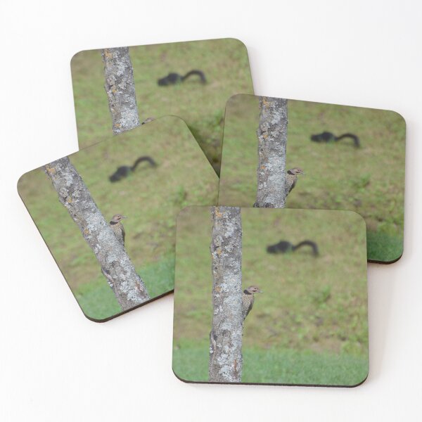 Item preview, Northern Flicker designed and sold by kry.ative.