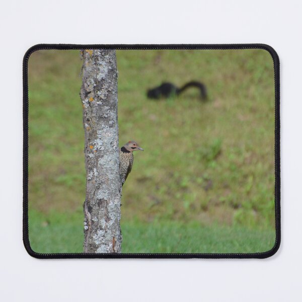 Item preview, Northern Flicker designed and sold by kry.ative.