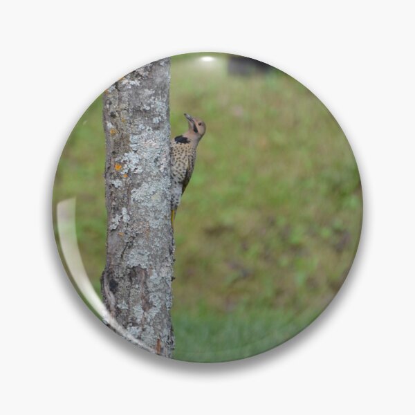 Item preview, Northern Flicker designed and sold by kry.ative.