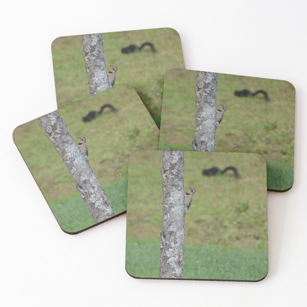 Item preview, Northern Flicker designed and sold by kry.ative.