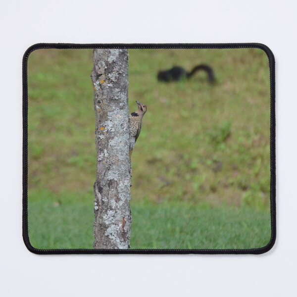 Item preview, Northern Flicker designed and sold by kry.ative.