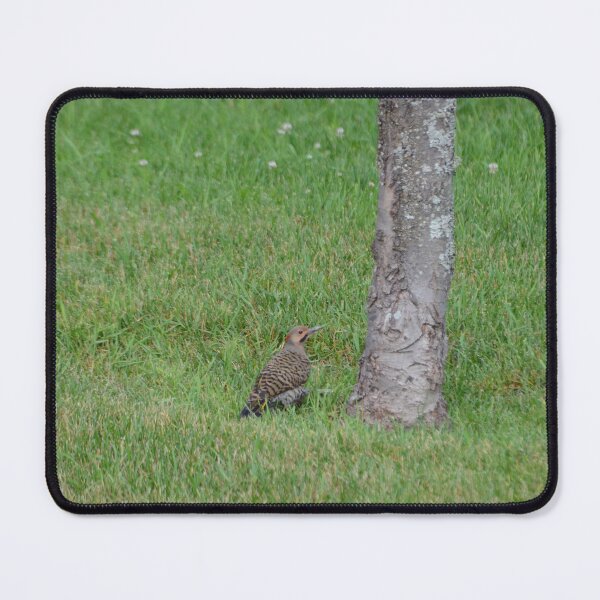Item preview, Northern Flicker designed and sold by kry.ative.
