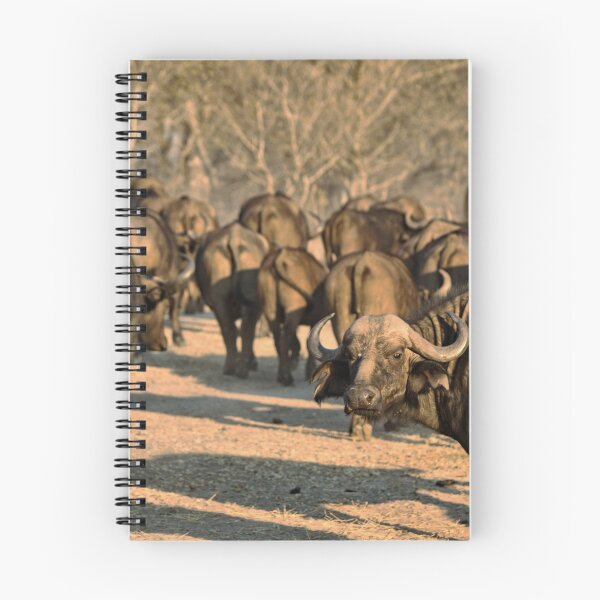 Item preview, Can't Rollerskate in a Buffalo Herd designed and sold by H-Stone-Photo.