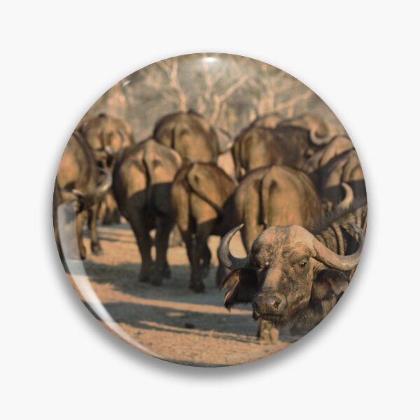 Item preview, Can't Rollerskate in a Buffalo Herd designed and sold by H-Stone-Photo.