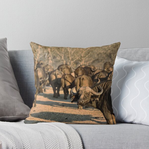 Item preview, Can't Rollerskate in a Buffalo Herd designed and sold by H-Stone-Photo.