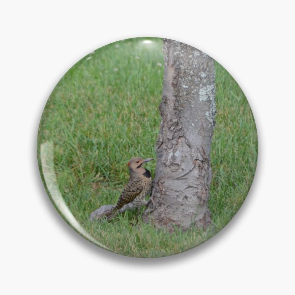 Item preview, Northern Flicker designed and sold by kry.ative.