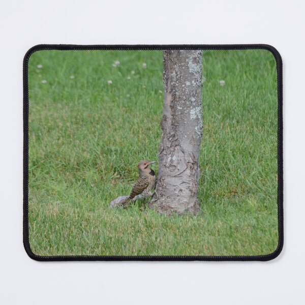 Item preview, Northern Flicker designed and sold by kry.ative.