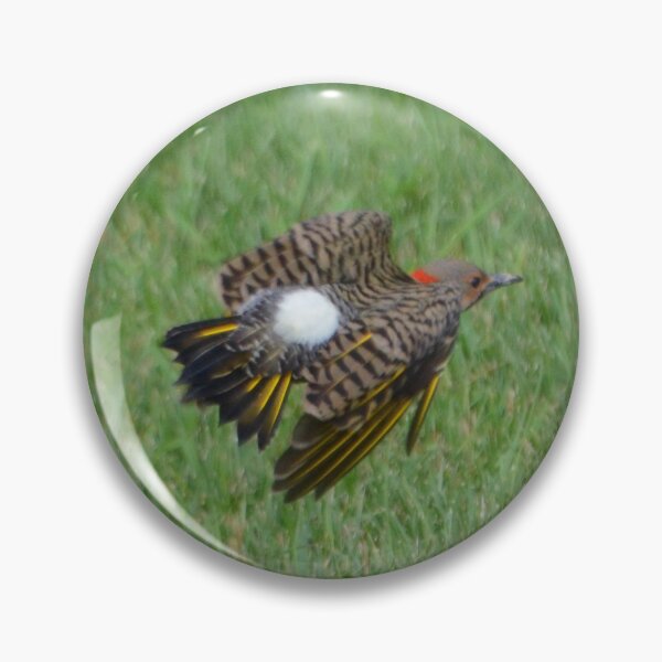 Item preview, Northern Flicker designed and sold by kry.ative.