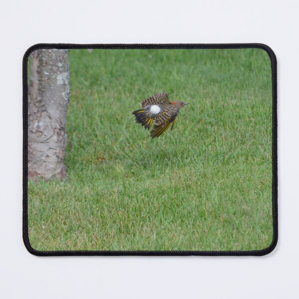 Item preview, Northern Flicker designed and sold by kry.ative.