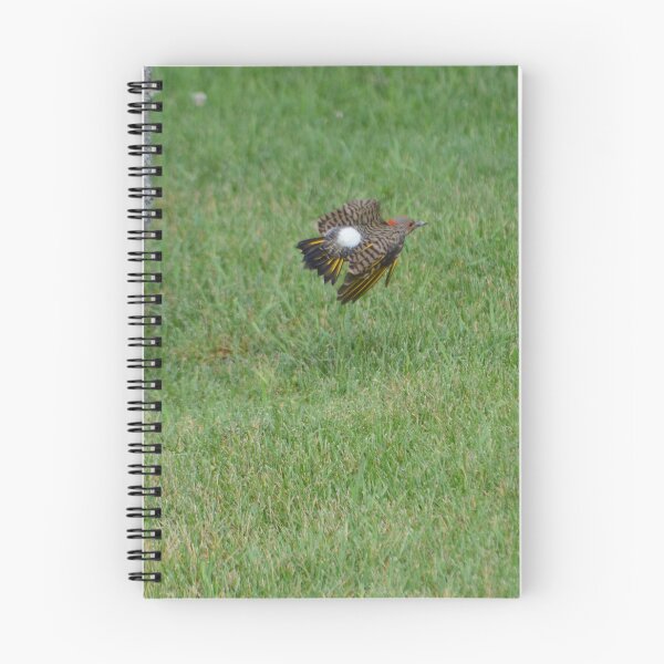 Item preview, Northern Flicker designed and sold by kry.ative.