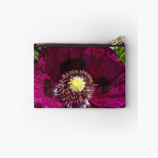 Item preview, Papaver Somniferum - Opium Poppy - RHS Garden Rosemoor - Devon - English Gardens designed and sold by LucaRocchini.