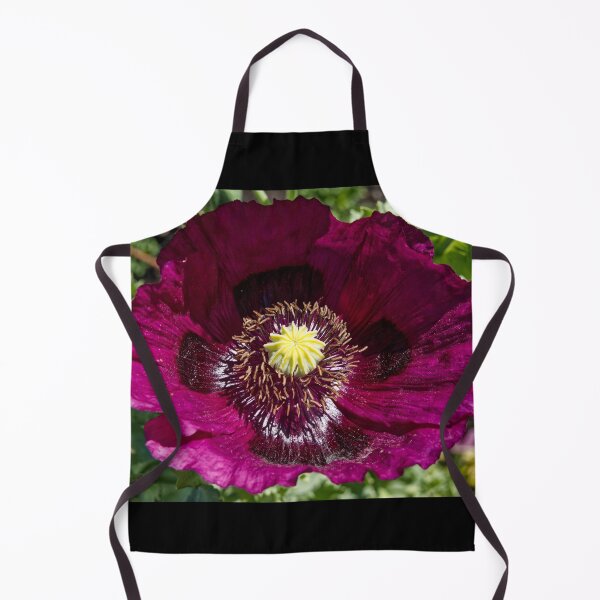 Item preview, Papaver Somniferum - Opium Poppy - RHS Garden Rosemoor - Devon - English Gardens designed and sold by LucaRocchini.