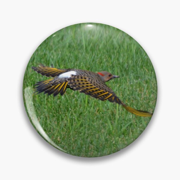 Item preview, Northern Flicker designed and sold by kry.ative.
