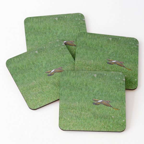 Item preview, Northern Flicker designed and sold by kry.ative.