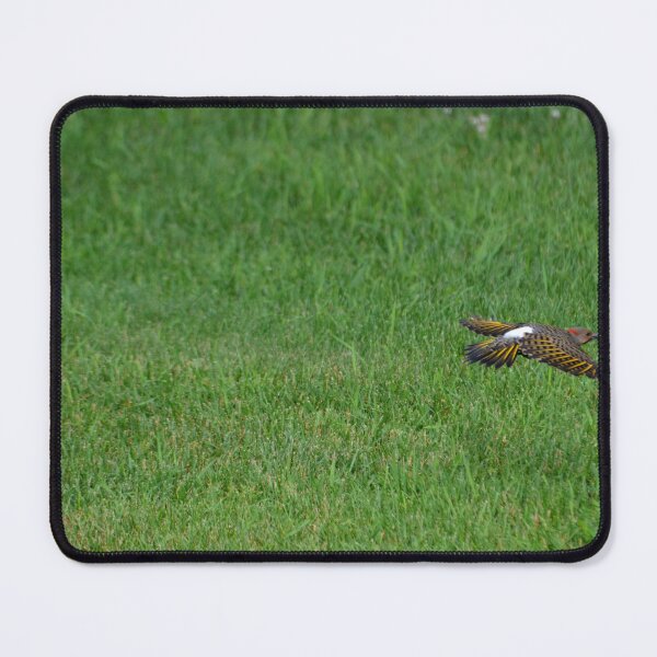 Item preview, Northern Flicker designed and sold by kry.ative.