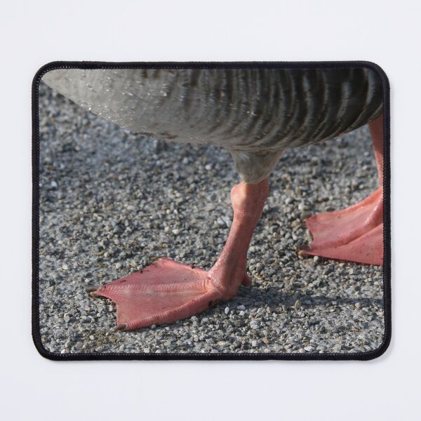 Item preview, Goose Parade designed and sold by H-Stone-Photo.
