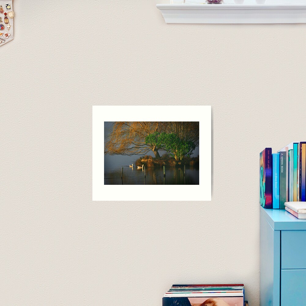 Farm dam Art Print