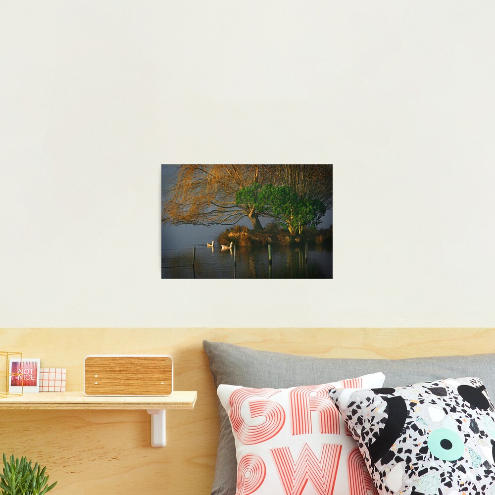 Farm dam Photographic Print