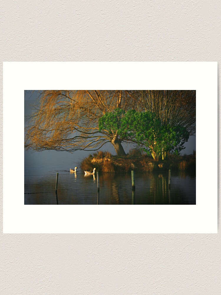 Alternate view of Farm dam Art Print