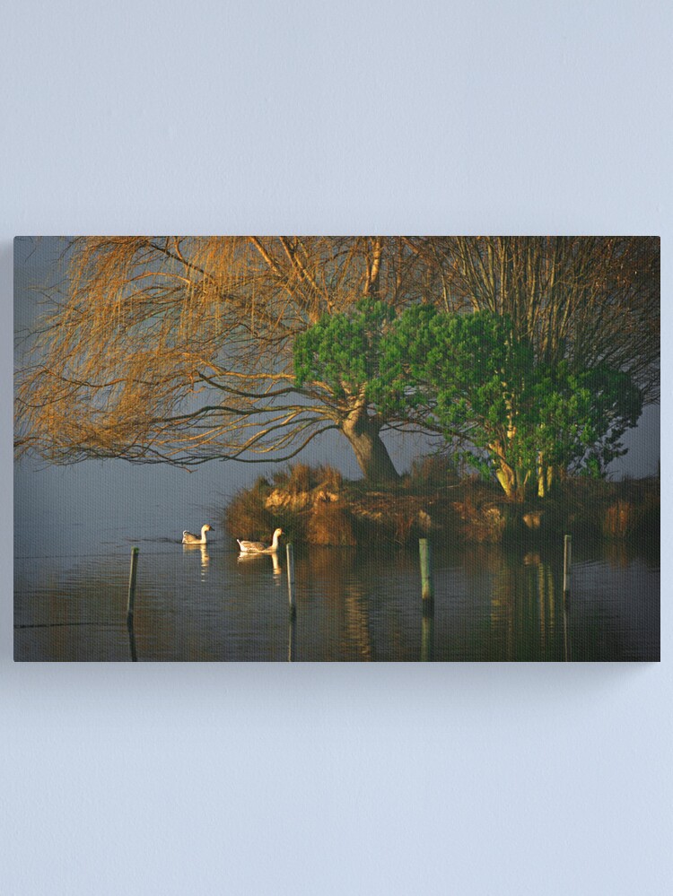 Thumbnail 2 of 3, Canvas Print, Farm dam designed and sold by Tim Wootton.