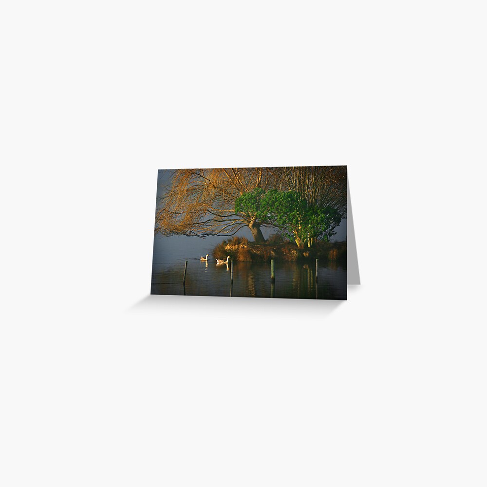 Item preview, Greeting Card designed and sold by wootton60.