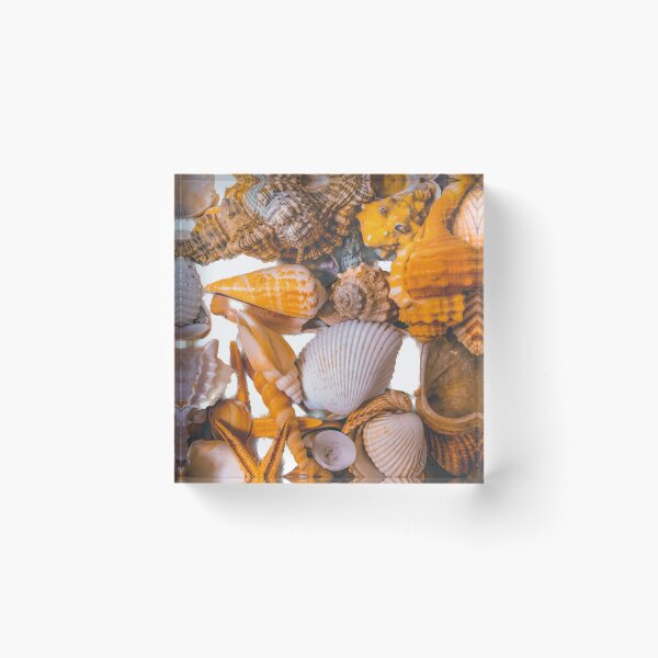 Item preview, Summer Seashells Beach Holidays designed and sold by eleonoraingrid.