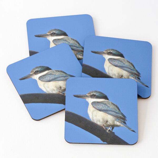 Item preview, Sacred Kingfisher enjoying the sun at Point Vernon designed and sold by Mark Grimsley.