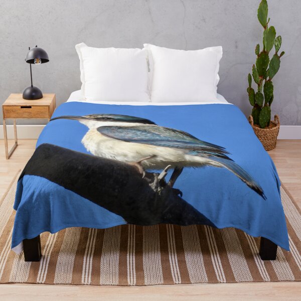 Item preview, Sacred Kingfisher enjoying the sun at Point Vernon designed and sold by Mark Grimsley.