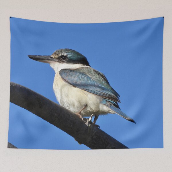 Item preview, Sacred Kingfisher enjoying the sun at Point Vernon designed and sold by Mark Grimsley.