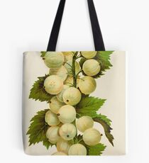 Canadian Horticulturalist 1888-96 - Downing Gooseberries Tote Bag