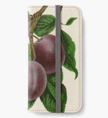 Canadian Horticulturalist 1888-96 - Fellemburg Plums iPhone Wallet/Case/Skin
