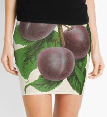 Canadian Horticulturalist 1888-96 - Fellemburg Plums Mini Skirt