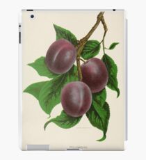 Canadian Horticulturalist 1888-96 - Fellemburg Plums iPad Case/Skin
