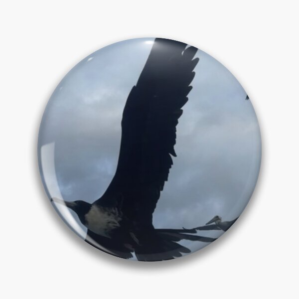 Item preview, Frigate bird designed and sold by laureldavid.
