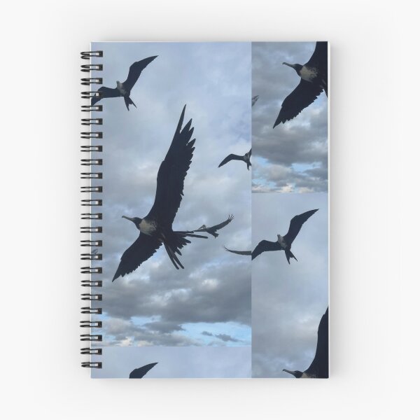 Item preview, Frigate bird designed and sold by laureldavid.
