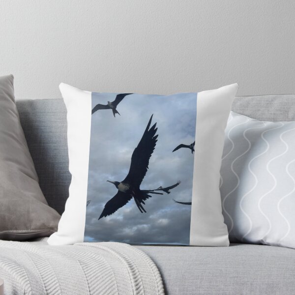 Item preview, Frigate bird designed and sold by laureldavid.