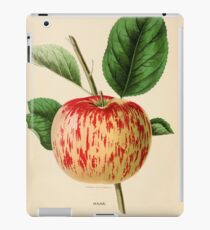 Canadian Horticulturalist 1888-96 - Haas Apple iPad Case/Skin