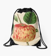Canadian Horticulturalist 1888-96 - Haas Apple Drawstring Bag