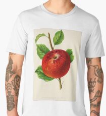 Canadian Horticulturalist 1888-96 - Hubbardston Nonsuch Apple Men's Premium T-Shirt