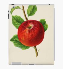 Canadian Horticulturalist 1888-96 - Hubbardston Nonsuch Apple iPad Case/Skin