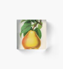 Canadian Horticulturalist 1888-96 - Howell Pear Acrylic Block